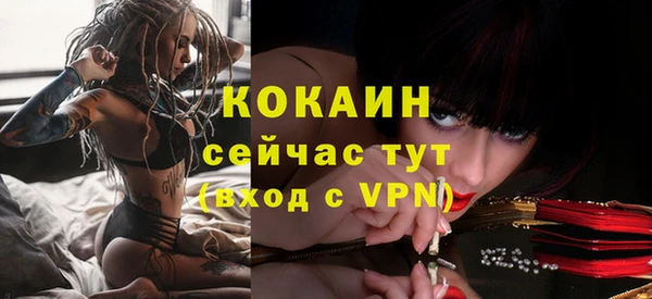 стаф Туринск